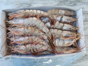 LM KING PRAWNS